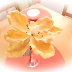 Guest house Zarok